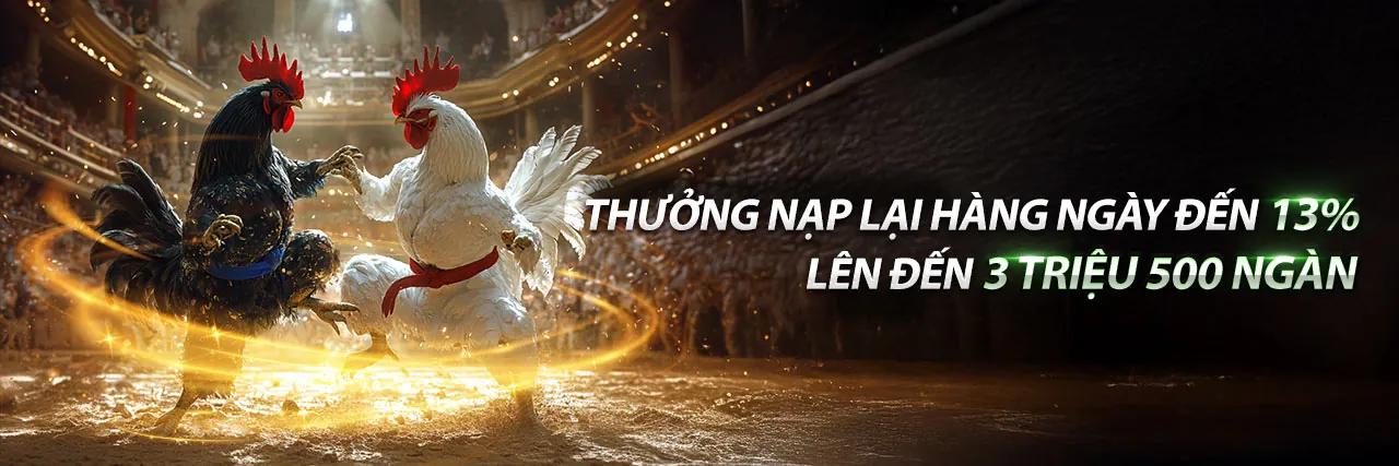 Sân đấu đá gà trực tuyến MU888 sôi động